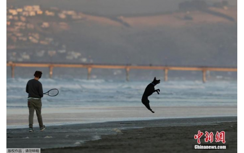 受疫情拖累 新西兰第二季度GDP萎缩12.2%