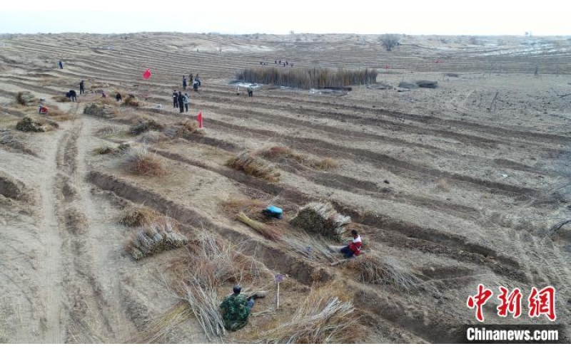 中国第二大沙地的植“绿”人 从“填饱肚子”逆袭成致富带头人