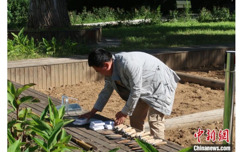 沈阳公众考古活动启动 将考古活动搬上云端