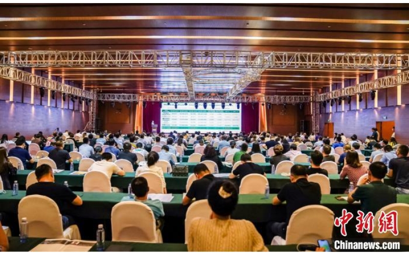 前7月中国花生出口量下降 中国国际花生年会探讨疫后产业发展