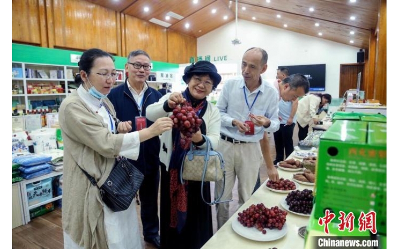 海外华文媒体走进四川南充 点赞西充产业高质量发展