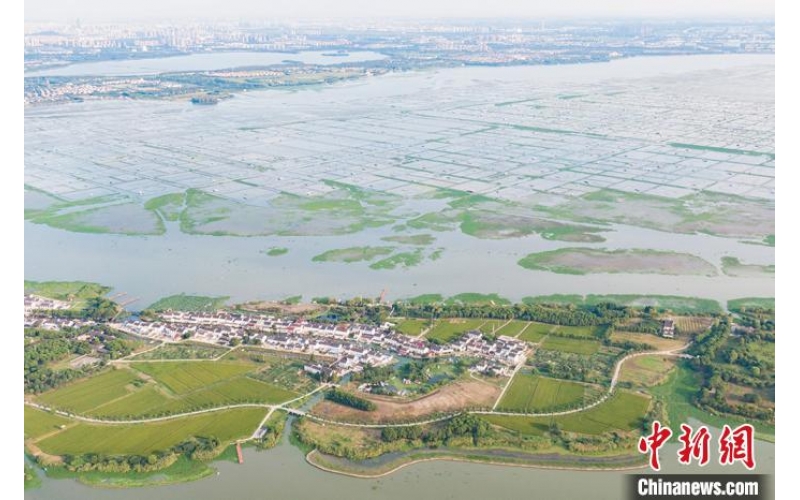 航拍苏州阳澄湖 水丰草茂美如画卷