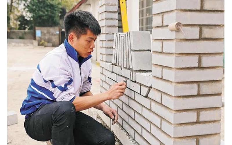 “冠军摇篮”成长记